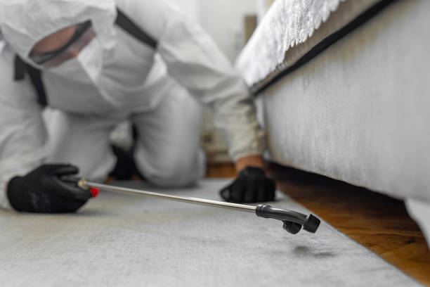 Professional Pest Control technician working in Lawrence County County, IN